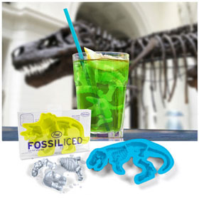 fossil-1.jpg