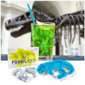 fossil-1.jpg