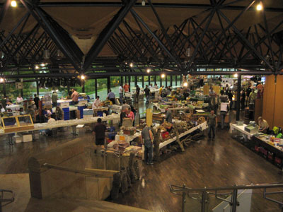 halle2.jpg
