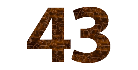 43