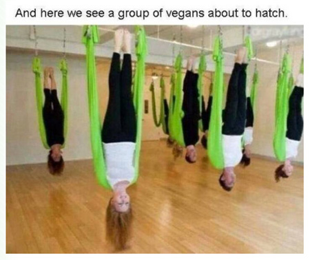 hatch