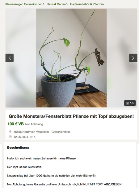 100